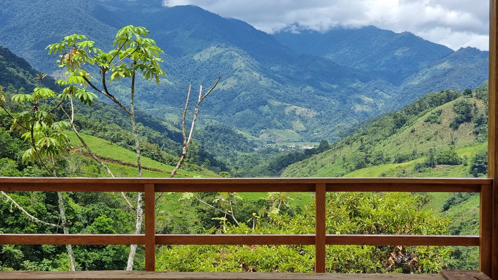 Centinela del Cóndor