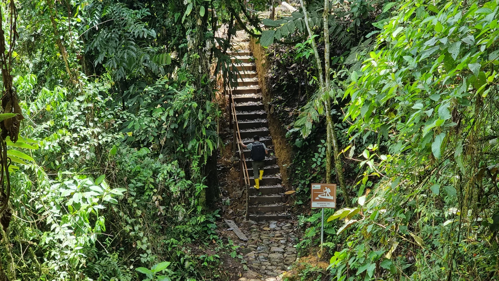 Centinela del Cóndor