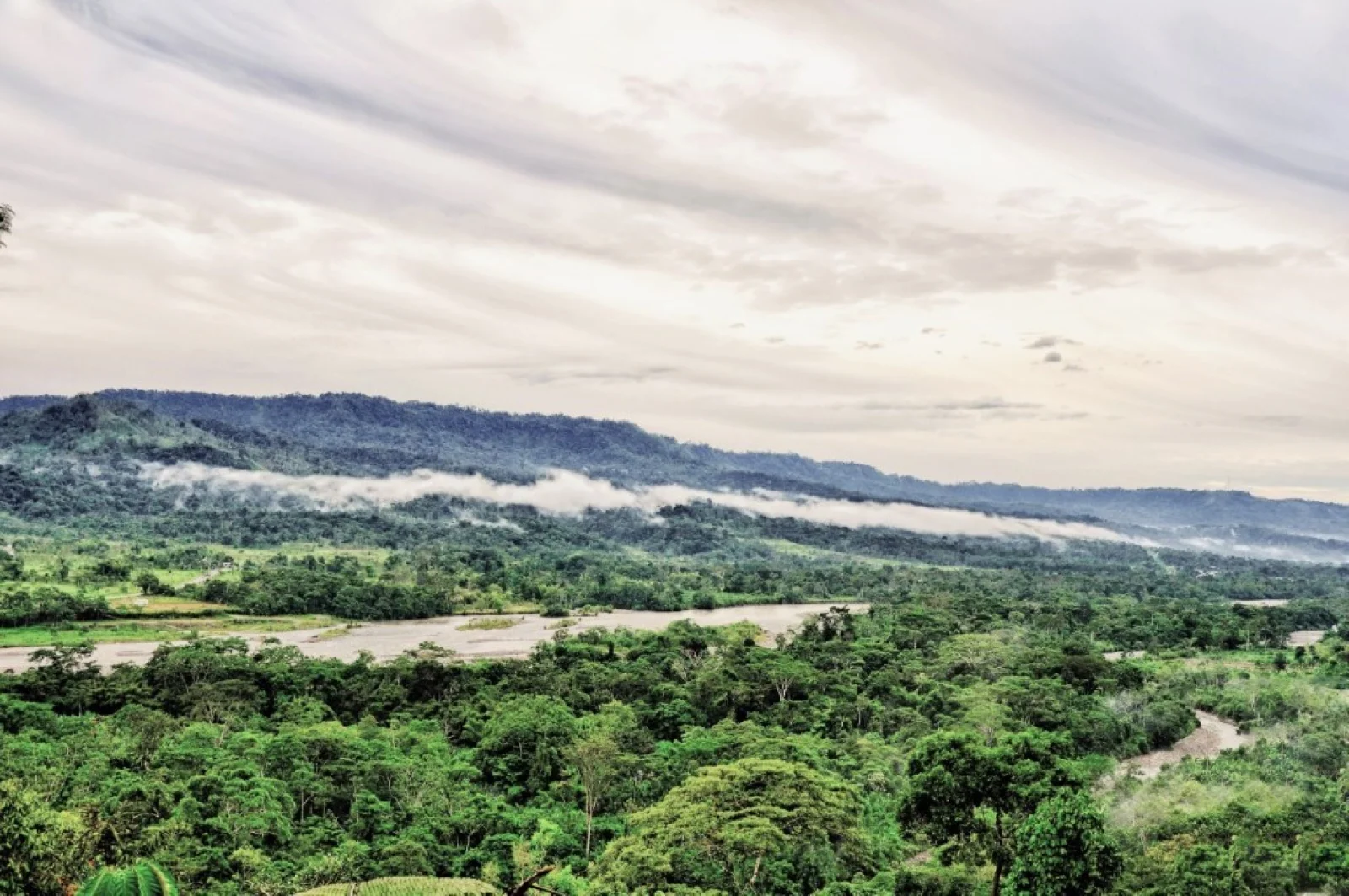 Carlos Julio Arosemena Tola
